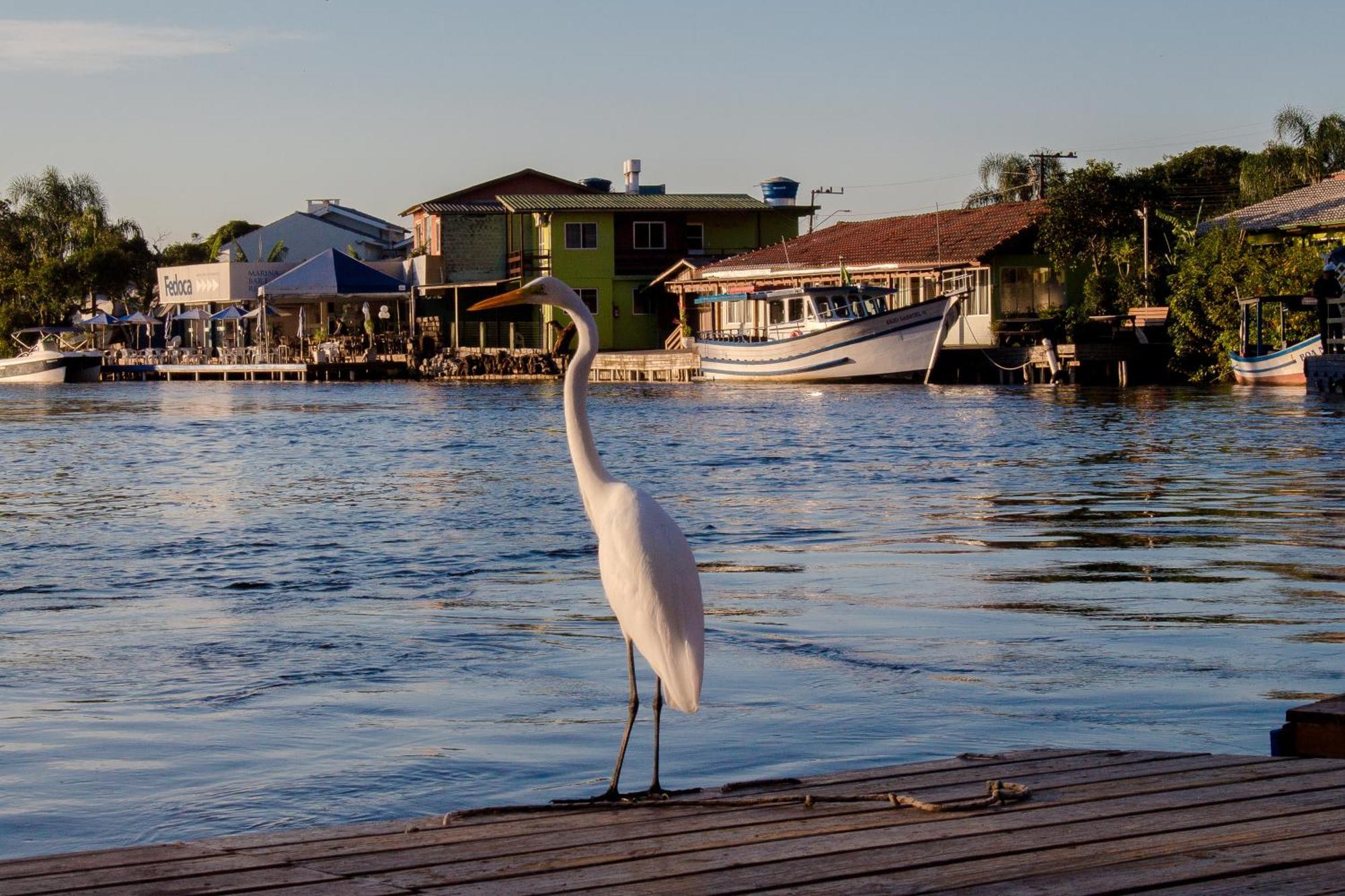 Pousada Quinta Da Margem Florianopolis Ngoại thất bức ảnh